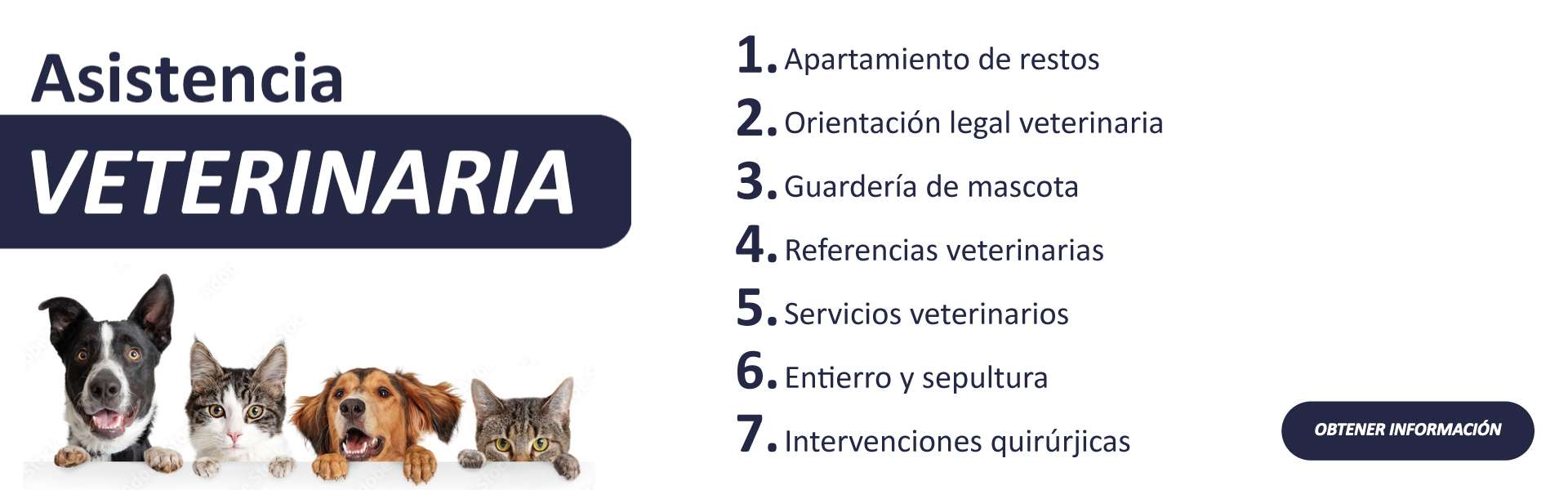 asistencia-veterinaria_1